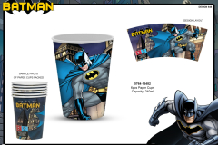 5764 BATMAN PARTY 1648 Presentation TO