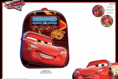 CARS-BTS-178-EVA-Economic-Presentation-TO
