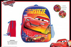 CARS-BTS-EVA-Rusteze-Presentation-DK