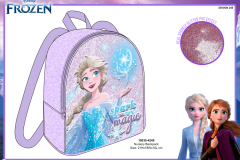 10030 FROZEN BTS 4245 Presentation CE