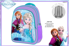 162901 FROZEN BTS 2216 Presentation CE