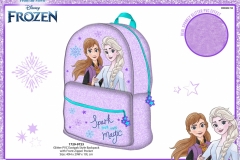 FROZEN-BTS-1729-9723-Presentation-TO
