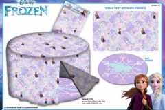 FROZEN-GIFTS-5909-9179T-Presentation-TO