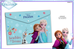 91105 FROZEN PAPER PP FILE 5137 Presentation TO