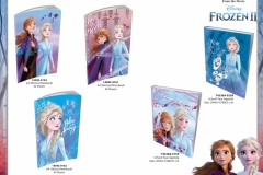 FROZEN-II-PP-PRODUCTS-VARIOUS-DESIGNS-PRESENTATION