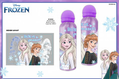 FROZEN-METAL-CANTEEN-812002-Presentation-IV