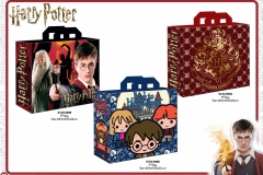 HARRY-POTTER-BTS-PP-Bags-399-545-400-PRESENTATION-TO