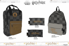 HARRY-POTTER-CONCEPT-4-girl