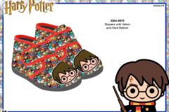 2284 HARRY POTTER GIFTS SLIPPERS 9578 Presentation TO