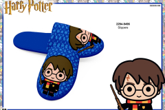 2294 HARRY POTTER GIFTS SLIPPERS 9496 Presentation TO