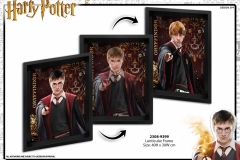 HARRY-POTTER-GIFTS-2308-9399-Presentation-TO