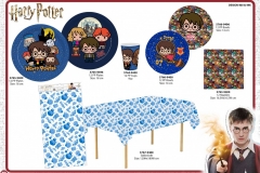 HARRY-POTTER-PARTY-400-496-Presentation-TO