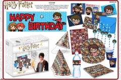 HARRY-POTTER-PARTY-5770-9496-Presentation-TO