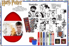 HARRY-POTTER-STATIONERY-37361-9399-Presentation-TO