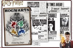 HARRY-POTTER-STATIONERY-9510-9399-9520-9399-Presentation-TO