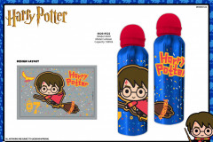 HARRY-POTTER-METAL-CANTEEN-4020-9522-Presentation-CE
