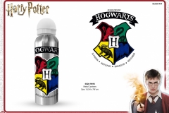 HARRY-POTTER-TABLEWARE-494-Presentation-TO