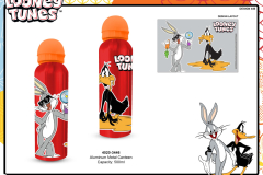 LOONEY-TUNES-TABLEWARE-METAL-CANTEEN-4020-3446-Presentation-TO