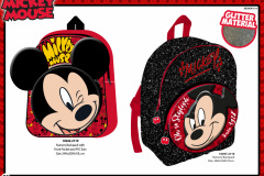 MICKEY-BTS-119-Presentation-CE