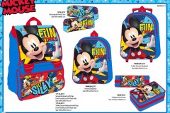 MICKEY-BTS-211-Presentation-CE
