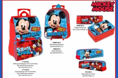 MICKEY-BTS-214-ECONOMIC-PRESENTATION-TO