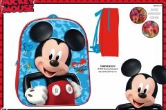 MICKEY-BTS-214-EVA-Presentation-TO
