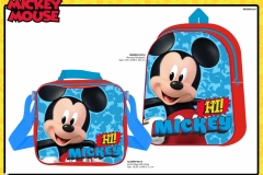 MICKEY-BTS-214-Presentation-2-TO