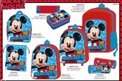 MICKEY-BTS-214-Presentation-TO-p2
