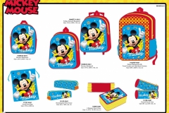 MICKEY-BTS-261-Economic-Presentation-TO