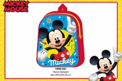 MICKEY-BTS-261-PRESENTATION-TO