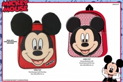 MICKEY-BTS-537-Presentation-ET