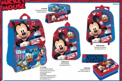 MICKEY-BTS-638-Presentation-TO