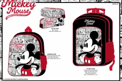 MICKEY-BTS-708-Presentation-TO