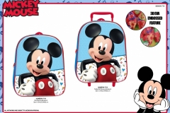 MICKEY-BTS-715-EVA-Presentation-ET