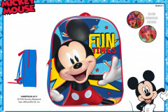 MICKEY-BTS-EVA-211-Presentation-CE