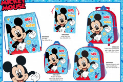MICKEY-BTS-Have-Fun-Presentation-DK