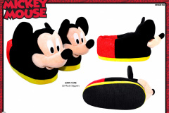 MICKEY-GIFTS-2384-1546-Presentation-CE