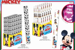 MICKEY-GIFTS-261-LED-LIGHTS-Presentation-TO
