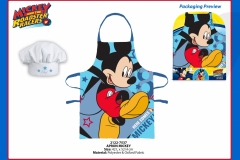 MICKEY-GIFTS-537-PRESENTATION-TO
