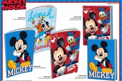 MICKEY-PAPER-638-644-645-Presentation-TO