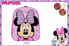 MINNIE-BTS-210-EVA-Economic-Presentation-TO