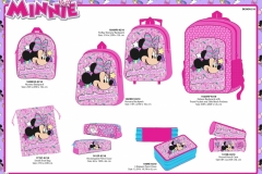 MINNIE-BTS-210-Economic-Presentation-TO