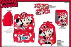 MINNIE-BTS-276-Presentation-JB