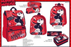 MINNIE-BTS-410-Presentation-TO