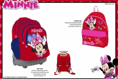 MINNIE-BTS-566-236-Presentation-ET