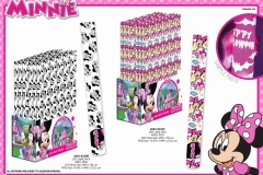 MINNIE-GIFTS-254-LED-LIGHTS-Presentation-TO