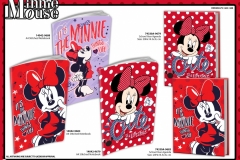 MINNIE-PAPER-679-683-688-Presentation-TO