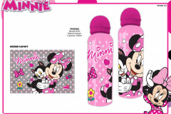 MINNIE-METAL-CANTEEN....-Presentation-IV