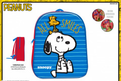 PEANUTS-BTS-265-EVA-Presentation-CE