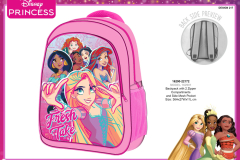 162901 PRINCESS BTS 2217 Presentation CE